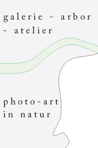 galerie - arbor - atelier
