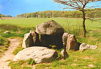 NaturGeyer