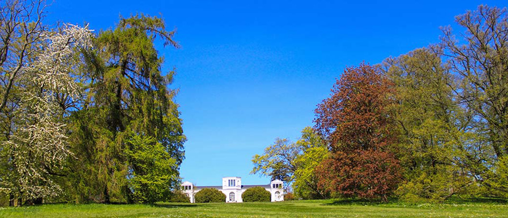 Sichtachsen von der Orangerie leiten den Blick in den Park